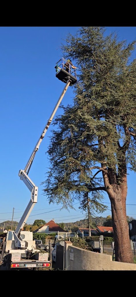 Elagage d'arbre - Photo 3